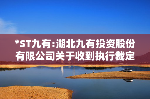 *ST九有:湖北九有投资股份有限公司关于收到执行裁定书暨风险提示的公告