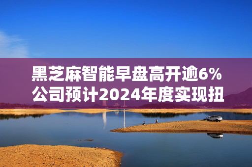 黑芝麻智能早盘高开逾6% 公司预计2024年度实现扭亏为盈