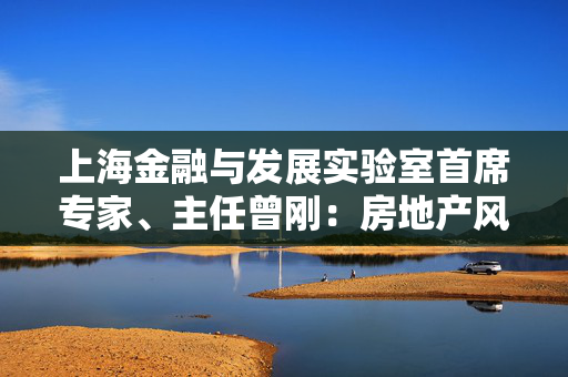 上海金融与发展实验室首席专家、主任曾刚：房地产风险化解是最突出的任务