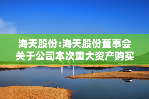 海天股份:海天股份董事会关于公司本次重大资产购买摊薄即期回报情况及填补措施的说明