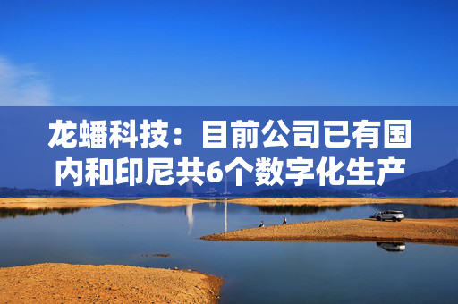 龙蟠科技：目前公司已有国内和印尼共6个数字化生产基地，总建成产能约27万吨