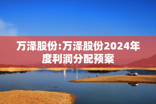 万泽股份:万泽股份2024年度利润分配预案