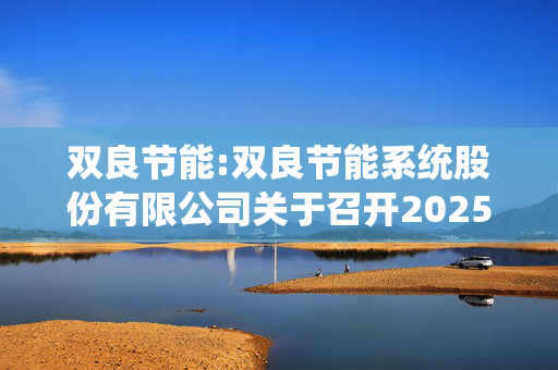 双良节能:双良节能系统股份有限公司关于召开2025年第二次临时股东大会的通知