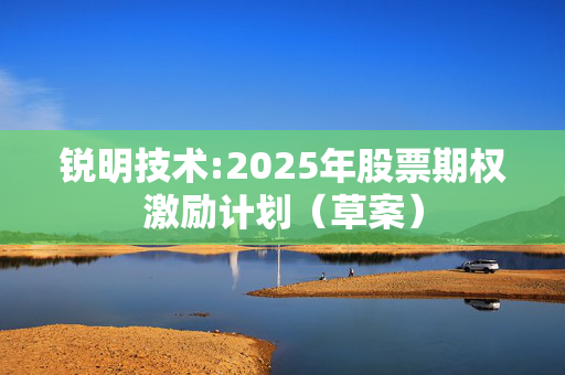 锐明技术:2025年股票期权激励计划（草案）