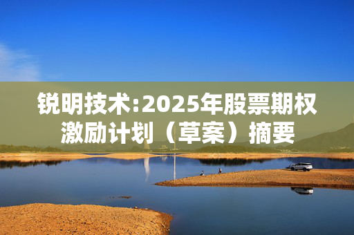 锐明技术:2025年股票期权激励计划（草案）摘要