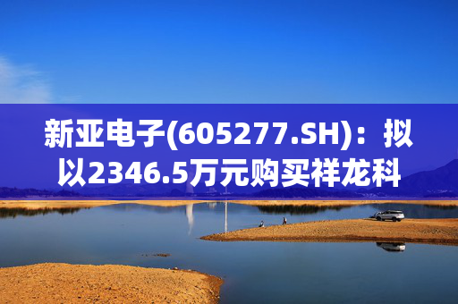 新亚电子(605277.SH)：拟以2346.5万元购买祥龙科技6.61%股份