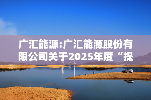 广汇能源:广汇能源股份有限公司关于2025年度“提质增效重回报”行动方案的公告