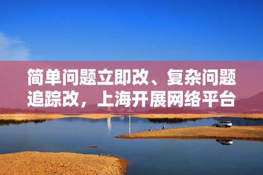 简单问题立即改、复杂问题追踪改，上海开展网络平台算法典型问题专项检查