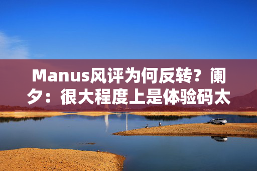 Manus风评为何反转？阑夕：很大程度上是体验码太少了