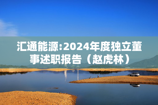 汇通能源:2024年度独立董事述职报告（赵虎林）