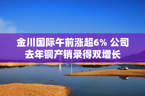 金川国际午前涨超6% 公司去年铜产销录得双增长