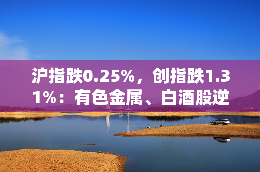 沪指跌0.25%，创指跌1.31%：有色金属、白酒股逆势走强，算力概念股回调