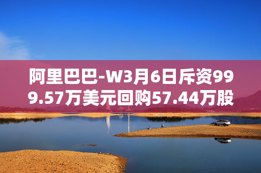 阿里巴巴-W3月6日斥资999.57万美元回购57.44万股