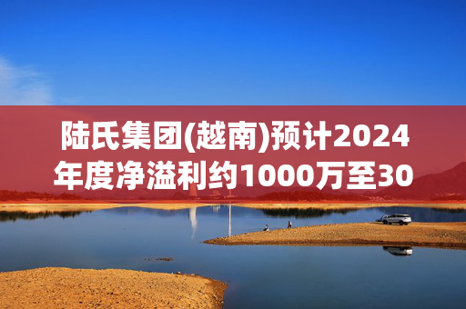 陆氏集团(越南)预计2024年度净溢利约1000万至3000万元港元