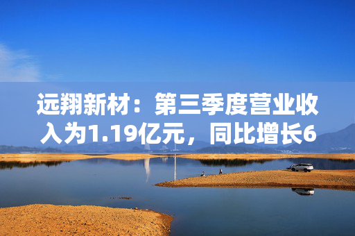 远翔新材：第三季度营业收入为1.19亿元，同比增长6.91%