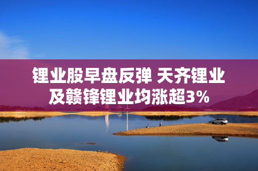 锂业股早盘反弹 天齐锂业及赣锋锂业均涨超3%