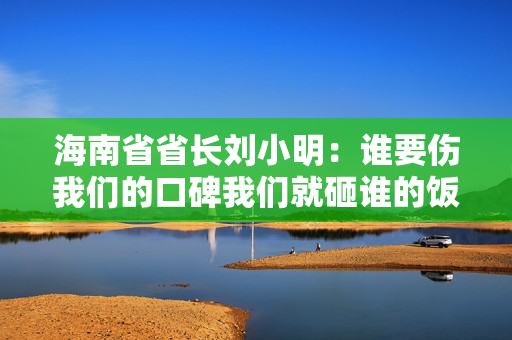 海南省省长刘小明：谁要伤我们的口碑我们就砸谁的饭碗