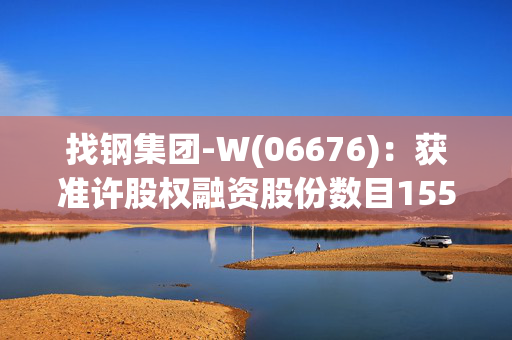 找钢集团-W(06676)：获准许股权融资股份数目155.85万股