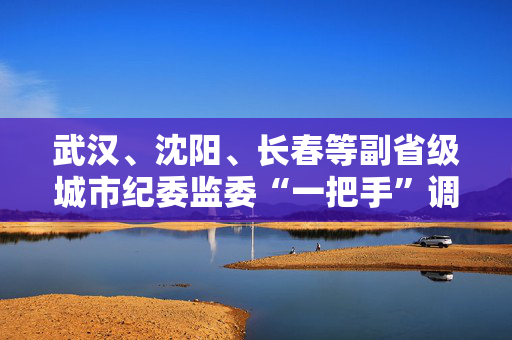 武汉、沈阳、长春等副省级城市纪委监委“一把手”调整