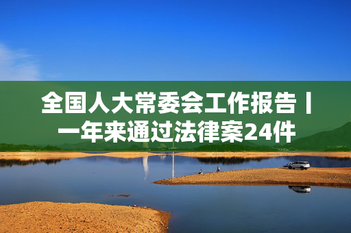 全国人大常委会工作报告丨一年来通过法律案24件