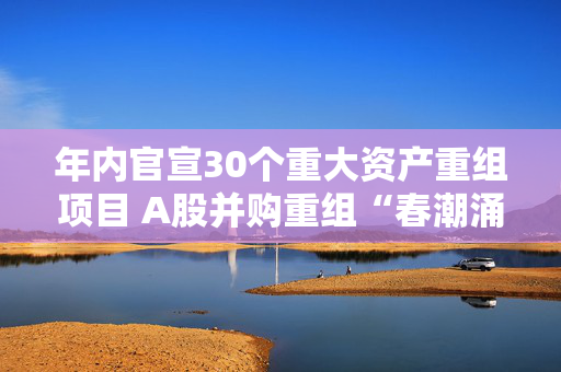 年内官宣30个重大资产重组项目 A股并购重组“春潮涌动”