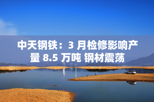 中天钢铁：3 月检修影响产量 8.5 万吨 钢材震荡