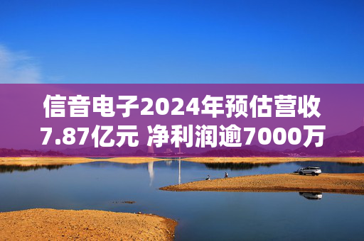 信音电子2024年预估营收7.87亿元 净利润逾7000万元