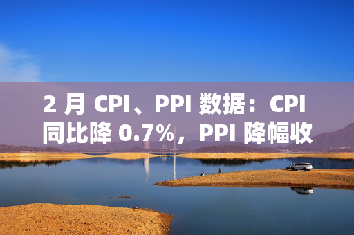 2 月 CPI、PPI 数据：CPI 同比降 0.7%，PPI 降幅收窄