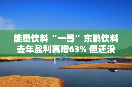 能量饮料“一哥”东鹏饮料去年盈利高增63% 但还没亮出全部“底牌”