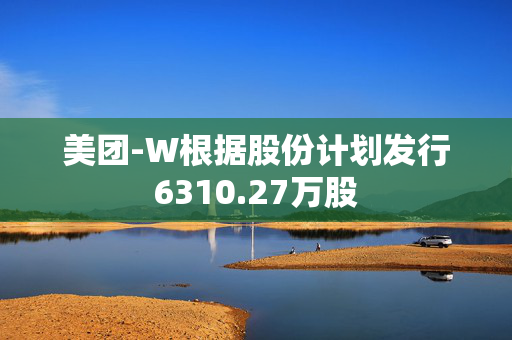 美团-W根据股份计划发行6310.27万股