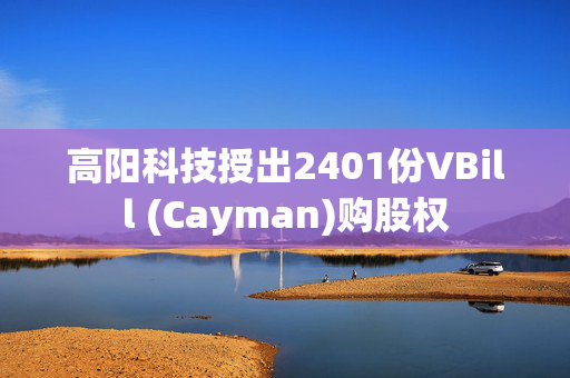 高阳科技授出2401份VBill (Cayman)购股权