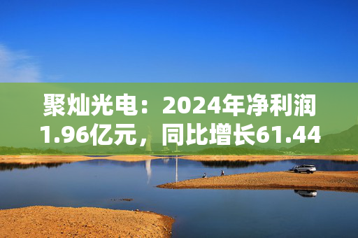 聚灿光电：2024年净利润1.96亿元，同比增长61.44%