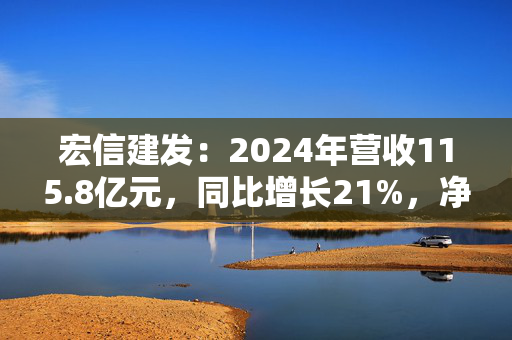 宏信建发：2024年营收115.8亿元，同比增长21%，净利润微降