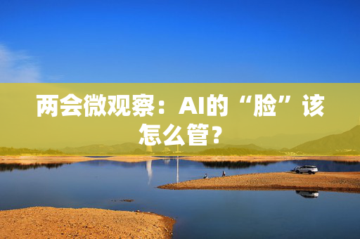 两会微观察：AI的“脸”该怎么管？