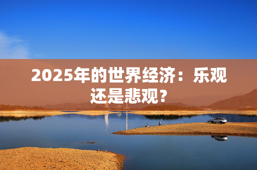 2025年的世界经济：乐观还是悲观？