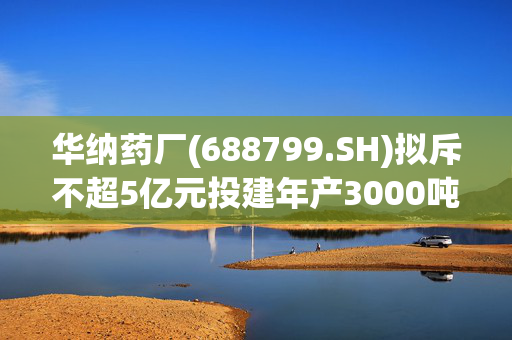 华纳药厂(688799.SH)拟斥不超5亿元投建年产3000吨高端原料药及中间体绿色智造基地(二期)建设项目