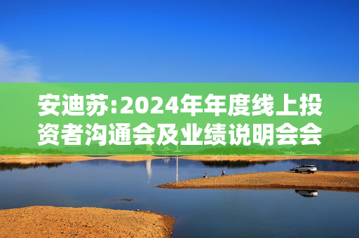 安迪苏:2024年年度线上投资者沟通会及业绩说明会会议记录