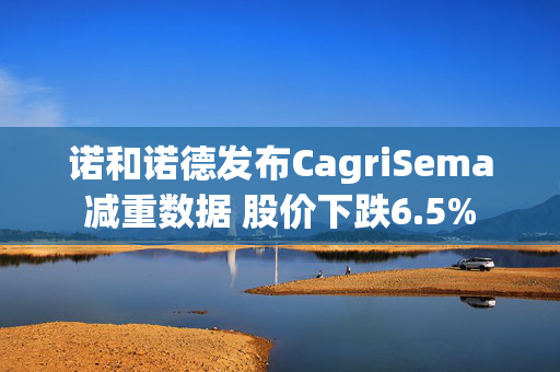 诺和诺德发布CagriSema减重数据 股价下跌6.5%