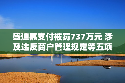 盛迪嘉支付被罚737万元 涉及违反商户管理规定等五项违法行为