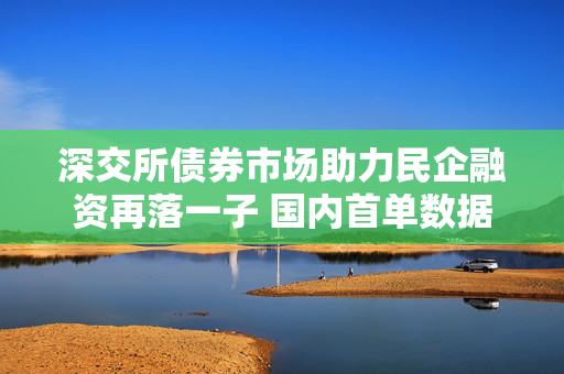 深交所债券市场助力民企融资再落一子 国内首单数据中心公募REITs正式申报