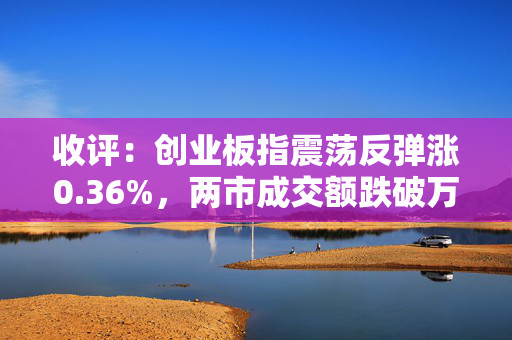 收评：创业板指震荡反弹涨0.36%，两市成交额跌破万亿