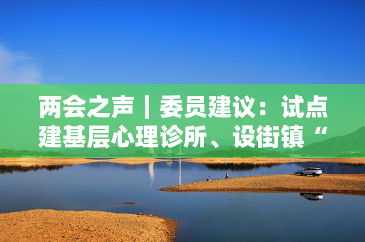 两会之声｜委员建议：试点建基层心理诊所、设街镇“情绪解压”室