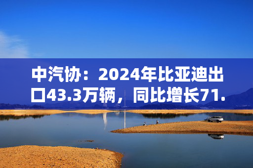 中汽协：2024年比亚迪出口43.3万辆，同比增长71.8%