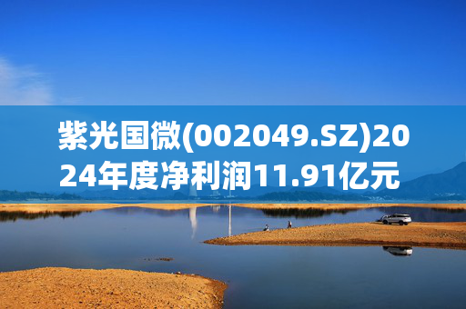 紫光国微(002049.SZ)2024年度净利润11.91亿元 同比下降52.99%