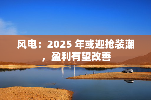 风电：2025 年或迎抢装潮，盈利有望改善